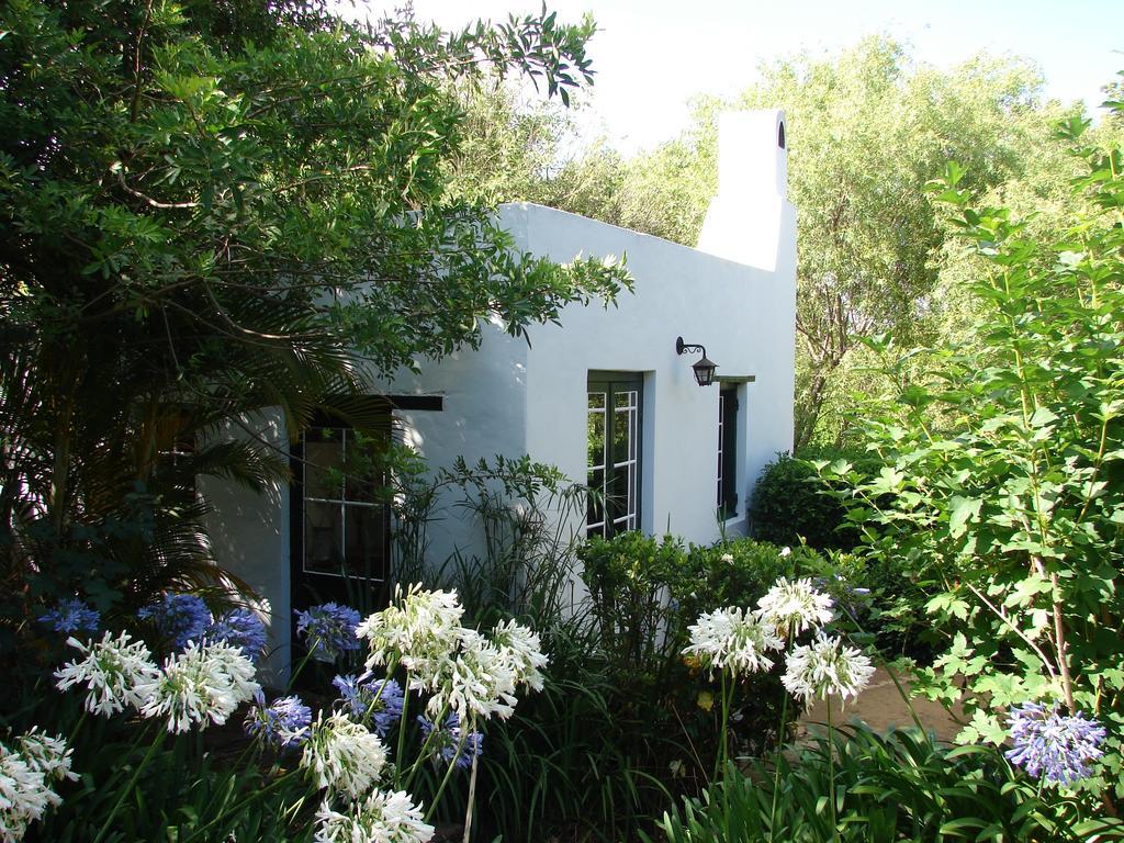 Old Mill Guest House Swellendam Phòng bức ảnh